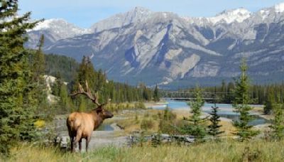 Magazine names Jasper one of the best places to visit in Canada | News