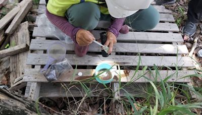 風災過後慎防4傳染病！ 高市衛生局籲醫療院所加強通報 - 自由健康網