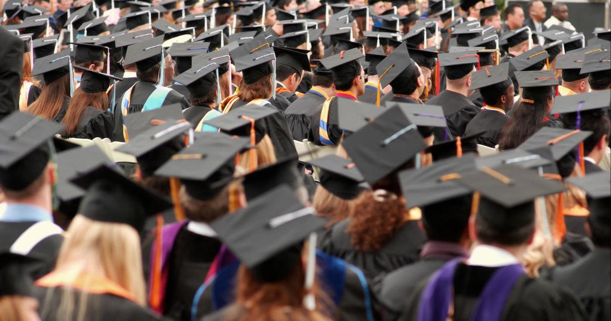 The job market for college grads is cooling. Here's where the jobs are.