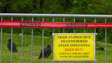 More than 100 vultures found dead near Maryland’s Conowingo Dam from avian flu