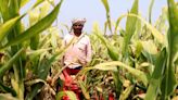 Space data fuels India’s farming innovation drive