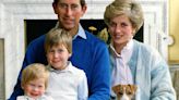 Prince William 'adored' his baby brother Harry, Diana's letters reveal