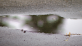 Scattered showers and storms remain in the forecast