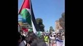 US: Pro-Palestine, Pro-Israel Protesters Clash At UCLA