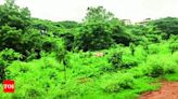 Lotimath Layout residents take initiative to develop park | Hubballi News - Times of India