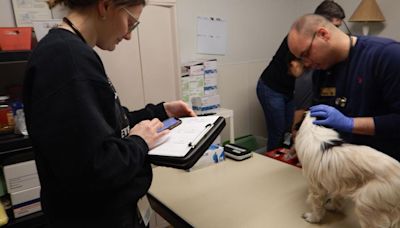 Purdue Veterinary Medicine students visit Pets R Us to examine animals