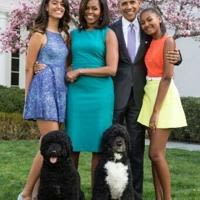 Former US president Barack Obama and family, seen here with their dogs, at the White House in 2015