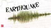 Earthquake of magnitude 4.5 hits Maharashtra's Hingoli; no casualty reported - The Economic Times