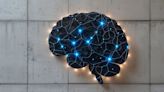 Revelan que el cerebro toma microsiestas mientras está activo: qué significa para la neurociencia
