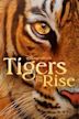 Tigers on the Rise