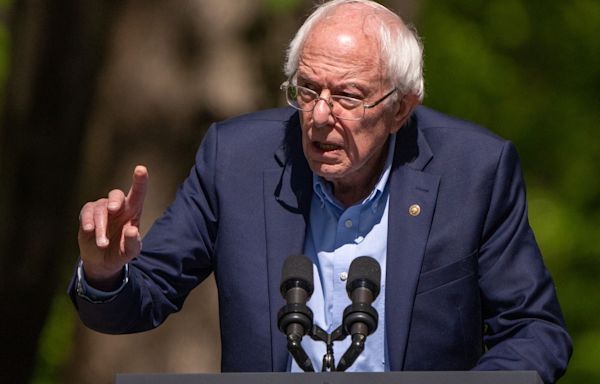 Bernie Sanders says billionaires are trying to "dismantle" public schools