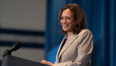 The Democrats who could be Kamala Harris' running mate