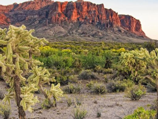 Tonto Forest rec area cleaned up but closed