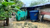Más de 250 familias y 400 hectáreas de cultivo afectadas por lluvias en Necoclí