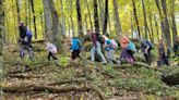 FernLeaf students have annual educational hike on Bearwallow Mountain