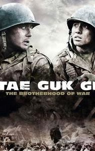 Taegukgi (film)