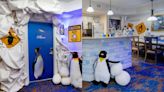 Explore Antarctica without ever leaving Orlando in new SeaWorld-inspired hotel suite