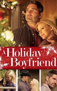 A Holiday Boyfriend