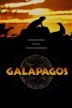 Galapagos: Beyond Darwin