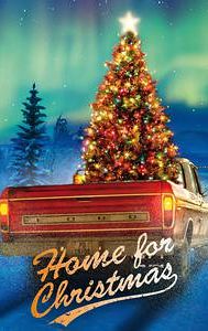 Home for Christmas (2010 film)