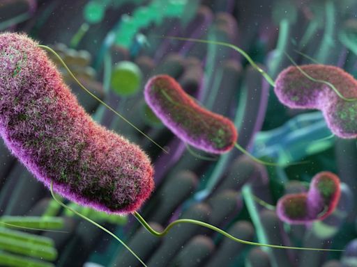 Alertan por superbacterias más catastróficas para el ser humano que el covid-19
