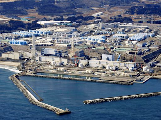 掌握福島電廠核廢水排放 核安會：我魚類養殖場監測無異常