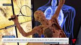 “Bodies”: regresa exposición de cuerpos reales en Plaza las Américas