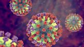 All about the 'underestimated' human metapneumovirus