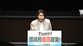 連東區都停電！陳菁徽飆「Damn」 怒：缺電是未來夏季日常？