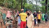 Wayanad landslides: 2 doctors who went to Kerala for vacation missing; search on