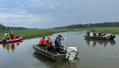 Bottlenose dolphin dies during rescue attempt in Cape May County creek