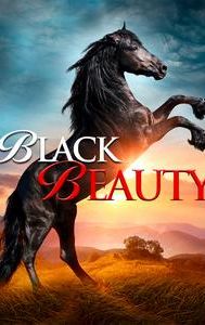 Black Beauty