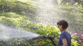 Montreal weather: Hot as humidity begins to creep back into the picture