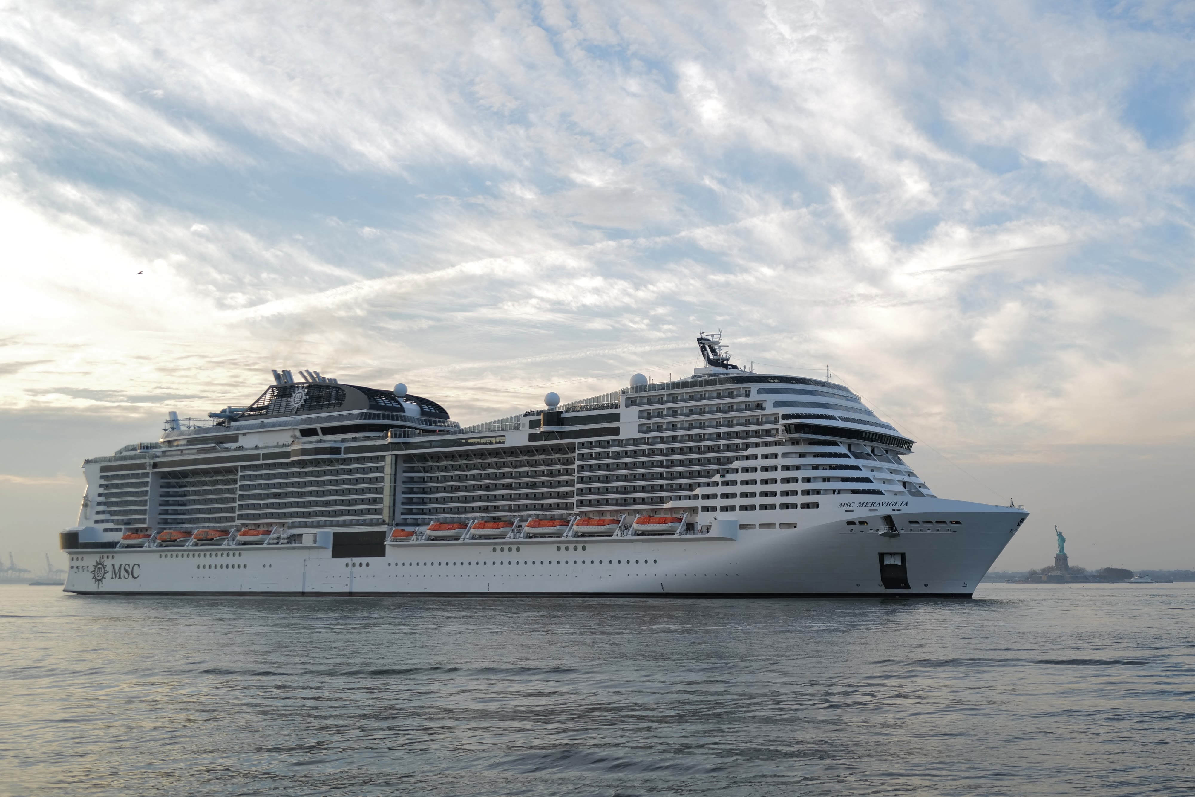 Cruise ship drags dead giant whale into New York, prompting investigation