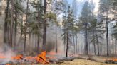Fire restrictions lifted in parts of northern Arizona, including Flagstaff