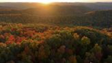 Fall is peak season in the Red River Gorge. Here’s how to make the most of it.