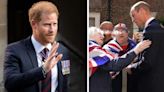 ...Royalty: If Left to Roam Free Prince Harry Would 'Bring a Fault Line' to Crown When Prince William Wears It