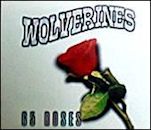 65 Roses (song)