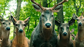 The Deer Are the Key to Understanding ‘Leave the World Behind’