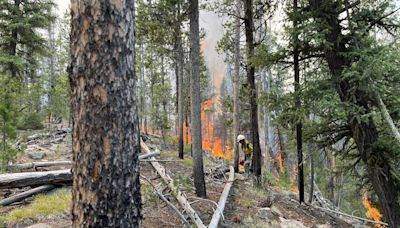 Idaho wildfire near Redfish Lake was human-caused, fire officials determine