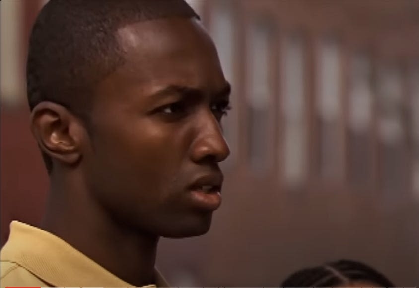 What 'The Wire' Teaches About Institutions | naked capitalism