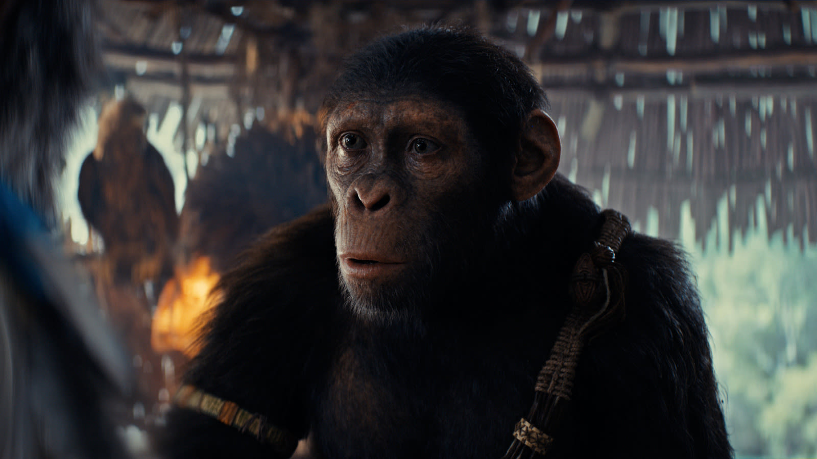 Does Kingdom Of The Planet Of The Apes Have A Credits Scene? A Spoiler-Free Guide - SlashFilm