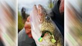 WI Daily Update: Gary Roach's different approach for walleyes right now - Outdoor News