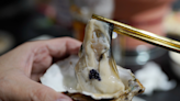 新北耶誕城必吃！板橋最好吃的日式職人燒肉，氣氛超歡樂！