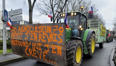 Francia dejará de ir más lejos que la UE en la restricción del uso de pesticidas