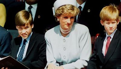 Harry 'would have been forced to apologise' by Princess Diana over Royal rift