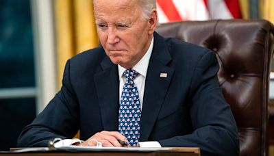 Joe Biden disappointed Kamala Harris trying to distance, report claims