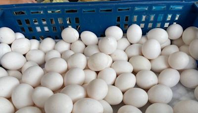 蛋價連2週調漲！ 天熱加颱風影響 雞蛋批發價明起漲3元
