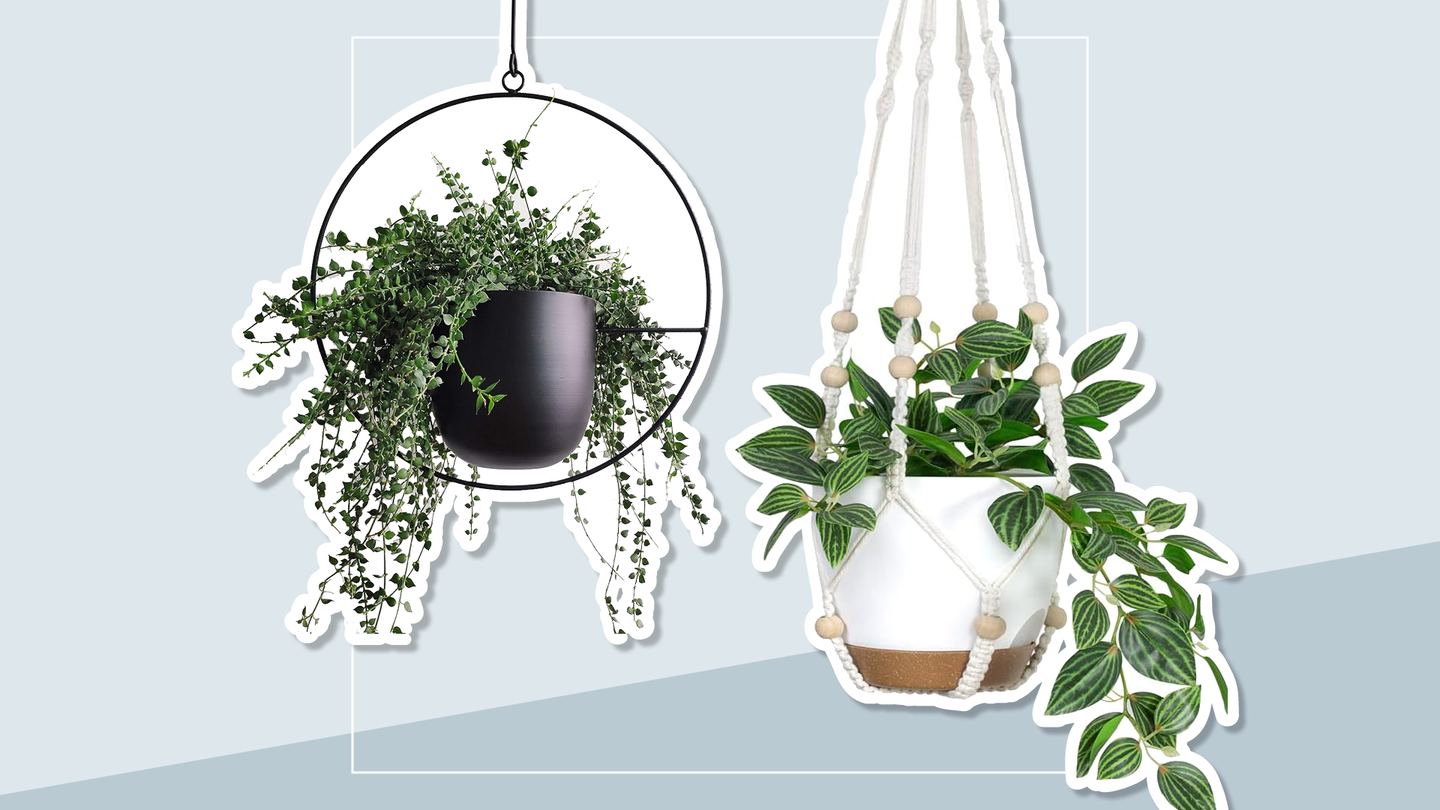 The 19 Best Indoor Hanging Planters to Liven up Your Home