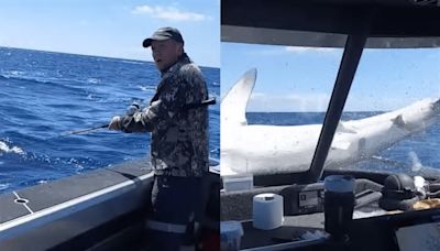 Fishermen Stunned To See Big Mako Shark Explode Out Of The Water & Land On The Boat